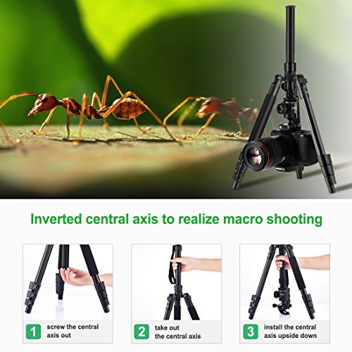Tripode Camara Reflex, Zecti 14 to 55 pulgadas Trípodes y Monopies , Placa de liberación rápida, y Nivel de burbuja, apacidad de carga 5kg para cámara SLR Canon, Nikon, Sony Pentax trípode