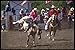 Produktbild 599092 Bareback Riding Upstate NY A4 Photo Poster Print 10x8