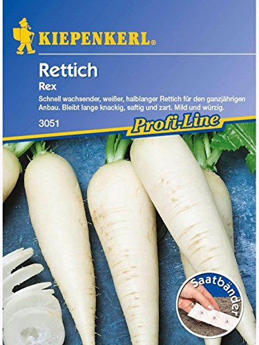 Rettich Rex Saatband