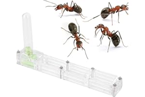 Cikonielf Formica Casa Acrilico Formica Casa Allevamento Nido Formicarium Vetrina Formica Trasparente Alimentazione Nido Vivente(Trasparente)