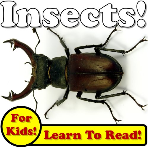 Download Insects! Learning About Insects - Insect Photos And Facts Make It Fun! (Over 45+ Pictures of Different Insects) Download Insects! Learning About Insects - Insect Photos And Facts Make It Fun! (Over 45+ Pictures of Different Insects)