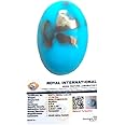 Divine Spirituals AAA Grade Natural Turquoise Gemstone Lab-certified Premium Feroza/Firoza Cabochon For Protection, Healing & Jewelry For Men & Women approx. 10-12 carat