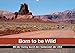 Produktbild Born to be Wild - Mit der Harley durch den Südwesten der USA (Wandkalender 2019 DIN A2 quer): Die landschaftlichen Highlights des amerikanischen ... 14 Seiten ) (CALVENDO Mobilitaet)