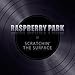 Produktbild Scratching the Surface by Raspberry Park (2014-04-15)