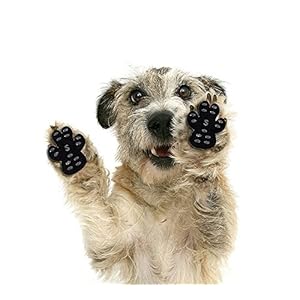 VALFRID – Protectores de Patas para Perro, Antideslizantes, Desechables, autoadhesivos, Resistentes, para Zapatos de Perro, Calcetines de Repuesto