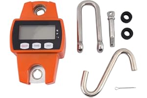 LIEBEWH Portátil LCD Digital Electrónico Wildwaage 100 Kg LCD Industrial Mini Balanza Colgante 300 Kg con Gancho