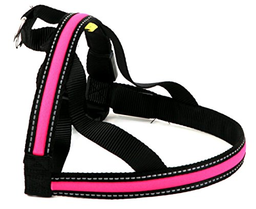 Preisvergleich Produktbild Walking Mate LED-Hundegeschirr aus weichem Nylon