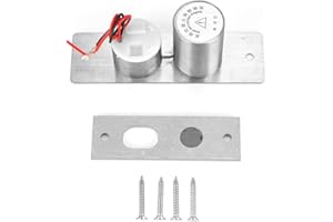 Hopcd Electric Bolt Lock, DC 12V 2-Wire Mini Embedded Electric Bolt Lock for Glass Door Security Access Control System, Stainless Steel Electric Mortise Lock