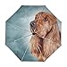 Produktbild ALAZA Englisch Cocker Spaniel Hund Regenschirm Reise Auto Öffnen Schließen UV-Schutz-windundurchlässiges Leichtes Regenschirm