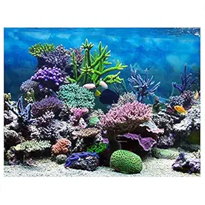 DAUERHAFT PVC Adhesive Underwater Coral Aquarium Fish Tank Background Poster,Colorful Backdrop Decoration Paper,Various Size(6141cm)