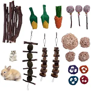 SUCCUNA 9pcs Rabbit Toys Guinea Pig Toy for Teeth Health Wooden Bunny Chew Toys for Chinchilla Hamster Gerbil Squirrel