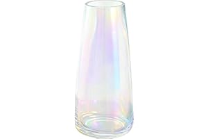 DRERIO Vase for Flower Colorful Glass, Irised, ins Modern Glass Tall Vase decor modern for home office Living-room Bedroom Centerpieces,22×10cm