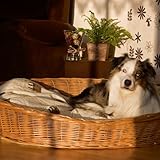 Weidenkorb 100 cm für Hunde sind Weidenkorb 100 cm für Hunde sind