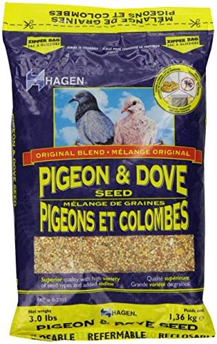 Pigeon &amp; Dove Staple VME Seeds, 3 Pounds