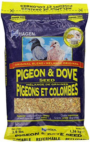 Pigeon &amp; Dove Staple VME Seeds, 3 Pounds