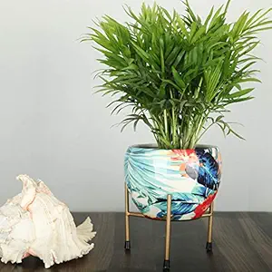 Homspurts Designer Metal Pot with Stand (6 inches). Decorative Pots for Indoor Plants/ Metal Plant Pots for Living Room, Balcony and Garden/ Multipurpose Pot/Desktop flower planter/Home d