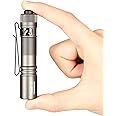 ACEBEAM Pokelit AA Mini Rechargeable Torch with Clip, Ultra Powerful 1000 Lumens LED Flashlight for Daily Use, Cool White Light (Grey)