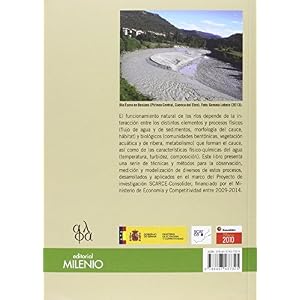 Procesos hidrosedimentarios en medios fluviales (Colección Alfa)