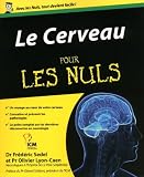 Image de Le Cerveau pour les nuls