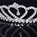 Foxnovo Delicate Wedding Bridal Prom Shining Rhinestones Crown Tiara with Comb