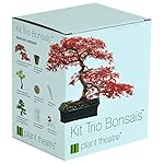 Plant Theatre Bonsai Trio Kit
