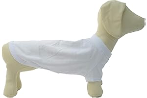 Lovelonglong Hund T-Shirt, 100% Baumwolle, Haustier T-Shirt, Hund-Unterhemd T-Shirts Für Dackel, Corgi White D-S