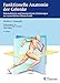 Produktbild Funktionelle Anatomie der Gelenke: Schematisierte und kommentierte Zeichnungen zur menschlichen Biomechanik