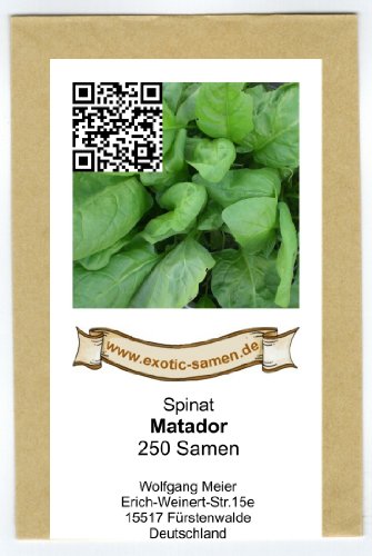 Spinat – Matador – 250 Samen - 2