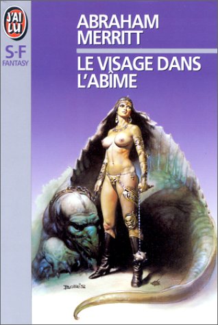 couverture de : Le visage dans l'ab&icirc;me