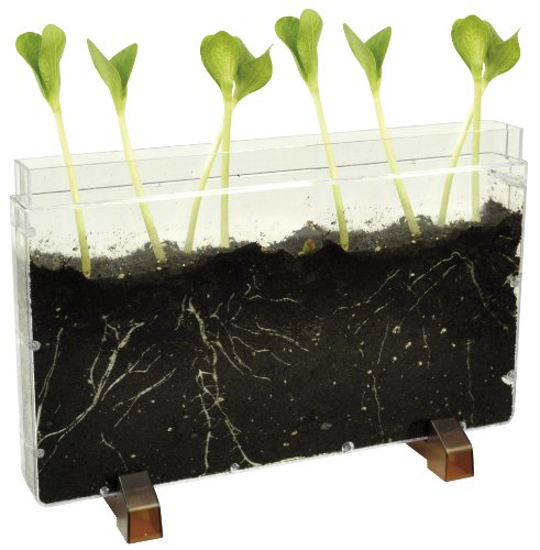 Eduplay Wurzelhaus / Wurmhaus