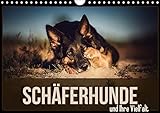 Schäferhunde und Ihre Vielfalt (Wandkalender 2019 DIN A4 quer): Ein Monatskalender mit Bildern des beliebten Schäferhundes. (Monatskalender, 14 Seiten ) (CALVENDO Tiere) by
