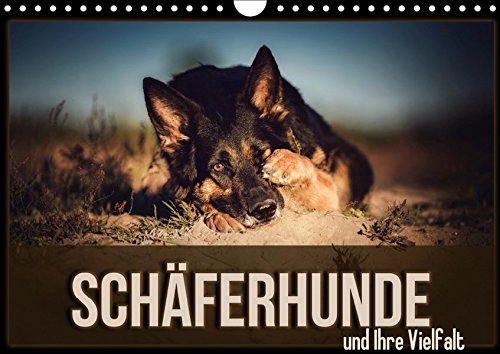Schäferhunde und Ihre Vielfalt (Wandkalender 2019 DIN A4 quer): Ein Monatskalender mit Bildern des beliebten Schäferhundes. (Monatskalender, 14 Seiten ) (CALVENDO Tiere)
