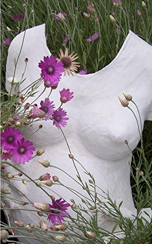 Tausendschön Gipsabdruck Babybauch, Bauchmaske Schwangerschaft - 4