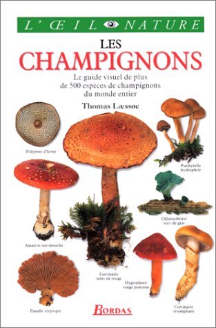 <a href="/node/59618">Les champignons</a>
