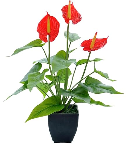 blumenkasten keramik Original italienischer hochwertiger Blumenkasten mit Olivendekor ca. 3  La  Casa