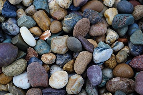 rockinnature Irische Strandkieselsteine 20 kg, Garten-Deko - 6