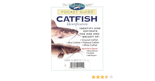Catfish Identification Identify And Estimate The Age And Weight Of Channel Catfish Blue Catfish Flathead Catfish White Catfish The Freshwater Angler Pocket Guide Amazon De Creative Publishing International Fremdsprachige Bucher