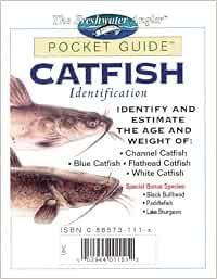 Catfish Identification Identify And Estimate The Age And Weight Of Channel Catfish Blue Catfish Flathead Catfish White Catfish The Freshwater Angler Pocket Guide Amazon De Creative Publishing International Fremdsprachige Bucher