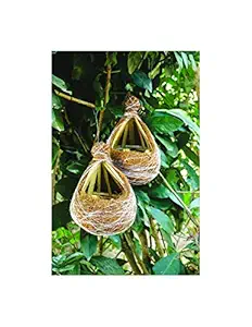 Haastika? Handmade Coir & Bamboo Little Birds nest cage Sparrows Finches breeding for Balcony | Garden | Decor -Pack of 2