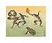 Produktbild Japan Funny Frog Sumo Shoson Ohara Home Picture Poster Print