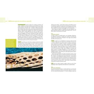 Terrarium naturel - immagine 5