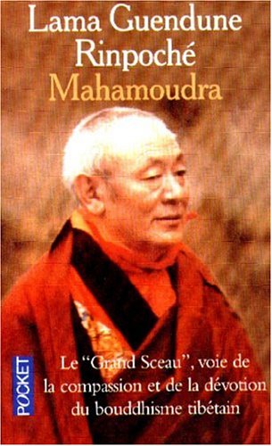 Télécharger Mahamoudra PDF