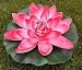 Produktbild Wasserlilie Schwimmend Lotusblüte Lotusblume Seerose 22 cm groß künstliche Blumen sehr original wie echt Deko Teichrose (Bordo)
