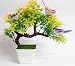 Hyperboles Artificial Plants with Hanging Birds Guest Greeting Pine Bonsai home decoration RS.369.00
