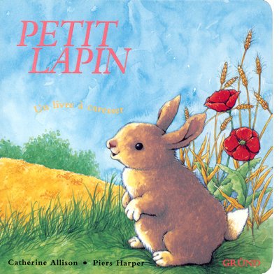 couverture de : Petit lapin