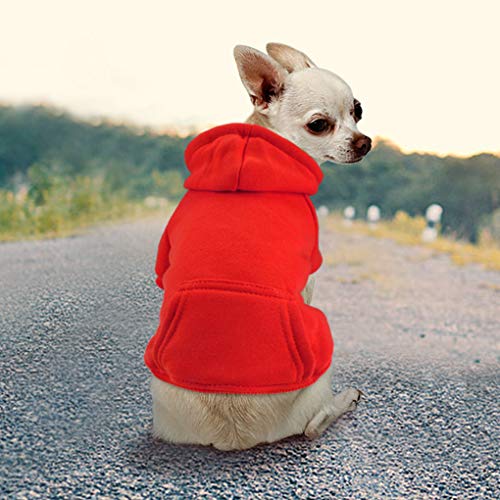 Abrigo Idepet con capucha para perros o gatos, hecho de algodón, para perros pequeños, cachorros, chihuahua u osos de peluche