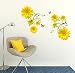 Decals Design 