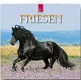Friesen 2012 by