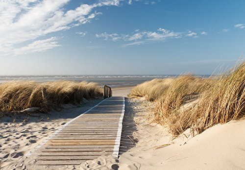 Fototapete Ocean Way 366x254cm Tapete Meer Ozean Strand Dünen Steg deco.deals - 2