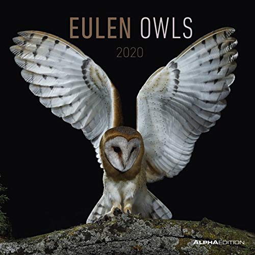 Eulen 2020 - Owls - Wandkalender - Broschürenkalender (30 x 60 geöffnet) - Tierkalender - Wandplaner
